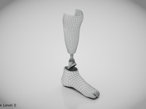 Below knee prosthetics 2 3D Model