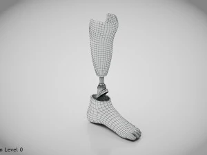 Unterhalb des Knies 2 3D Modell