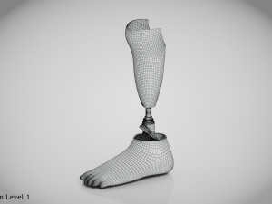 Below knee prosthetics 2 3D Model