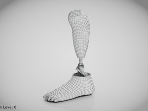 Below knee prosthetics 2 3D Model