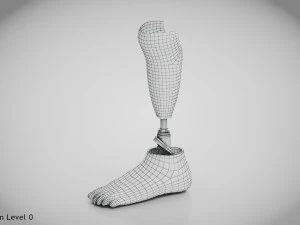 Unterhalb des Knies 2 3D Modell