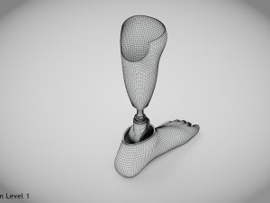 Below knee prosthetics 2 3D Model