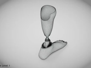 Unterhalb des Knies 2 3D Modell