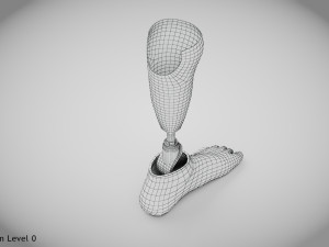 Below knee prosthetics 2 3D Model