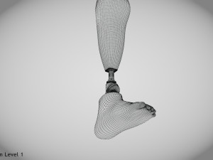 Below knee prosthetics 2 3D Model