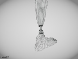 Below knee prosthetics 2 3D Model