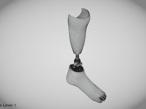 Below knee prosthetics 2 3D Model