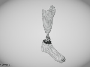 Below knee prosthetics 2 3D Model