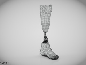Below knee prosthetics 2 3D Model