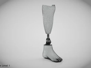 Unterhalb des Knies 2 3D Modell