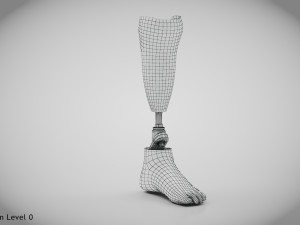 Below knee prosthetics 2 3D Model