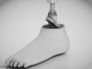 Below knee prosthetics 2 3D Model