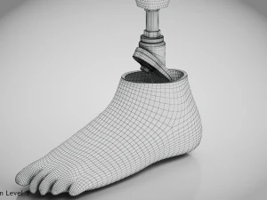 Unterhalb des Knies 2 3D Modell