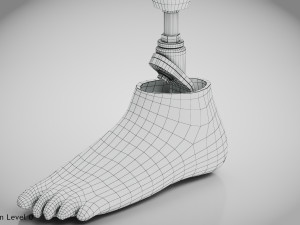 Below knee prosthetics 2 3D Model