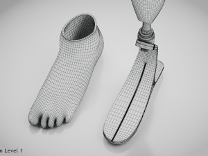 Below knee prosthetics 2 3D Model