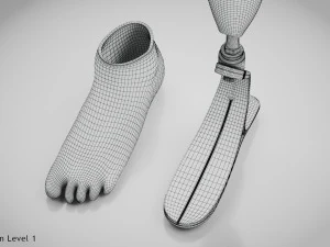 Unterhalb des Knies 2 3D Modell