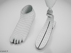 Below knee prosthetics 2 3D Model