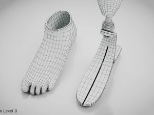 Unterhalb des Knies 2 3D Modell