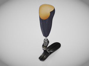 Below knee prosthetics- Implant 3D Model