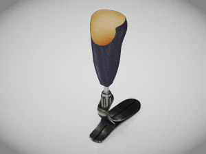Below knee prosthetics- Implant 3D Model