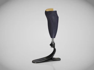 Below knee prosthetics- Implant 3D Model