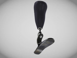 Below knee prosthetics- Implant 3D Model