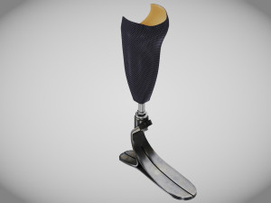 Below knee prosthetics- Implant 3D Model