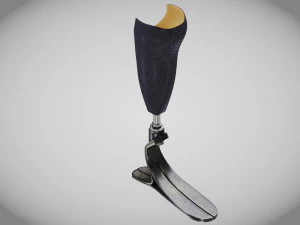 Below knee prosthetics- Implant 3D Model