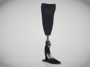 Below knee prosthetics- Implant 3D Model