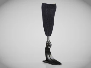 Below knee prosthetics- Implant 3D Model