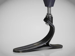 Below knee prosthetics- Implant 3D Model