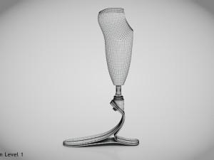Below knee prosthetics- Implant 3D Model