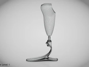 Below knee prosthetics- Implant 3D Model