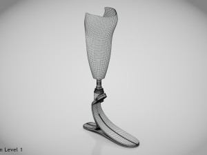 Below knee prosthetics- Implant 3D Model