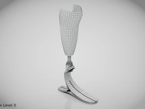 Below knee prosthetics- Implant 3D Model
