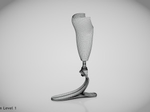 Below knee prosthetics- Implant 3D Model