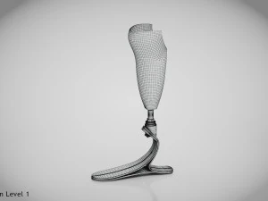 Below knee prosthetics- Implant 3D Model