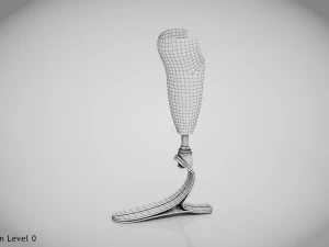 Below knee prosthetics- Implant 3D Model