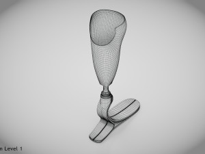 Below knee prosthetics- Implant 3D Model