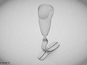 Below knee prosthetics- Implant 3D Model