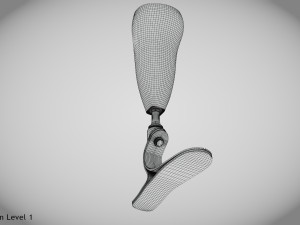 Below knee prosthetics- Implant 3D Model