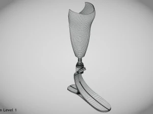 Below knee prosthetics- Implant 3D Model