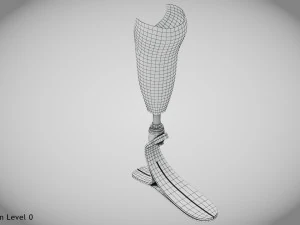 Below knee prosthetics- Implant 3D Model