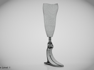 Below knee prosthetics- Implant 3D Model