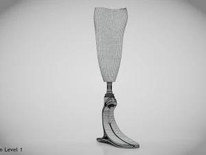 Below knee prosthetics- Implant 3D Model