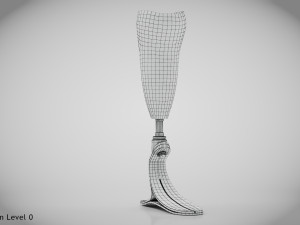 Below knee prosthetics- Implant 3D Model