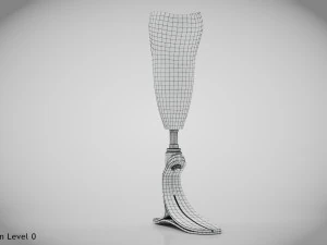 Below knee prosthetics- Implant 3D Model
