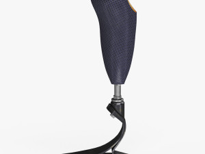 Below knee prosthetics- Implant 3D Model