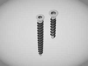 Bone Screw 2 size -Implant Modello 3D