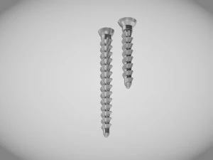 Parafuso &oacute;sseo tamanho 2 -Implante Modelo 3D